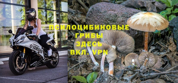 таблы Алексеевка