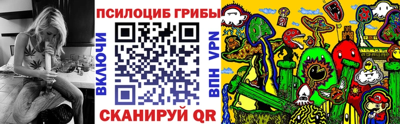 Псилоцибиновые грибы Psilocybine cubensis hydra Киреевск магазин продажи наркотиков